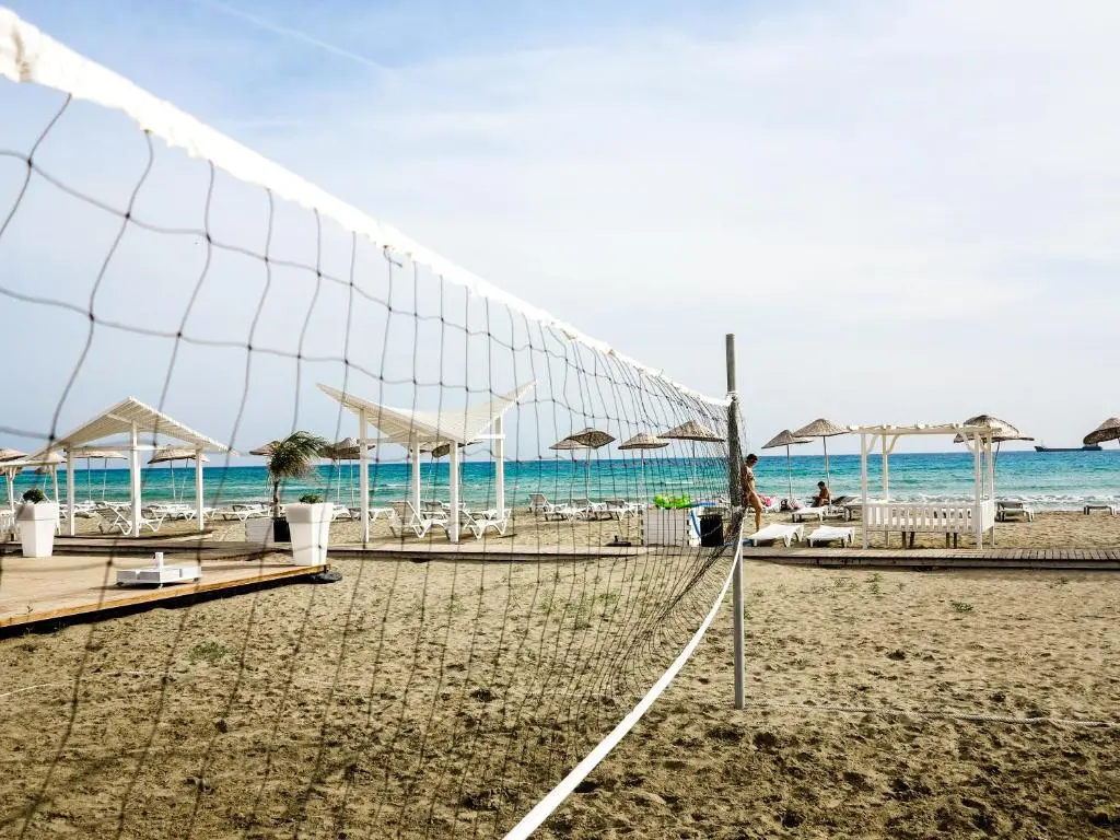 img_id_1871434.webp