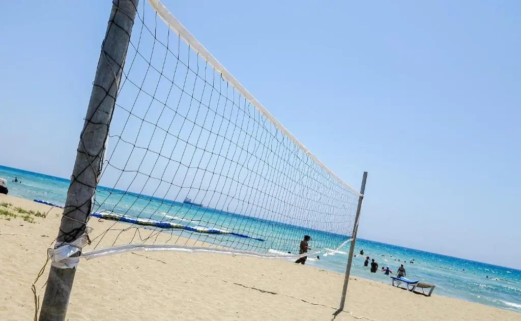 img_id_1871463.webp