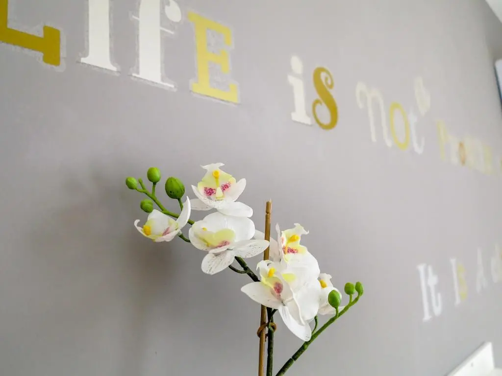 img_id_1871471.webp
