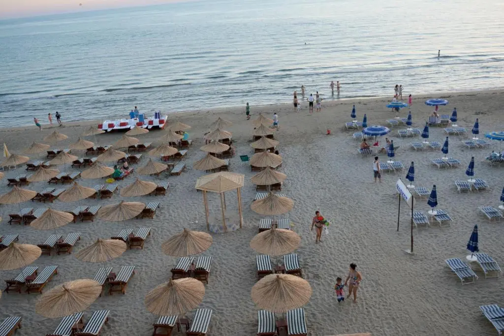 img_id_1872616.webp