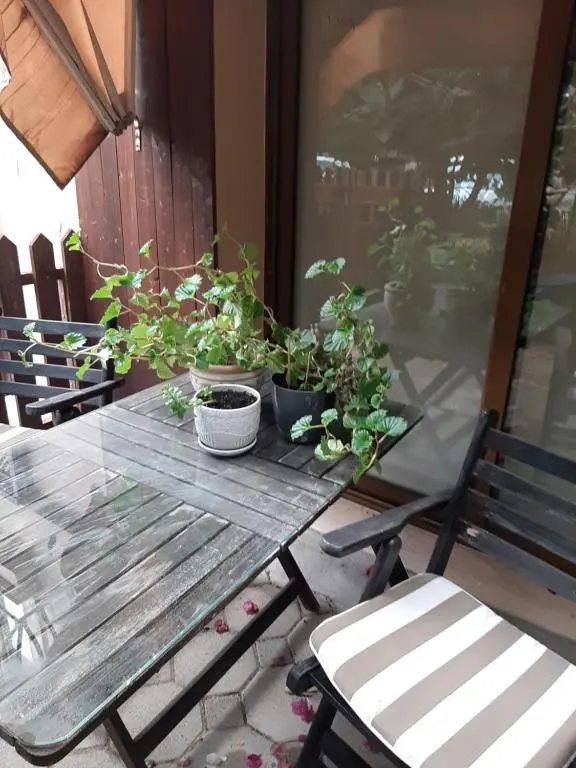 img_id_1874038.webp