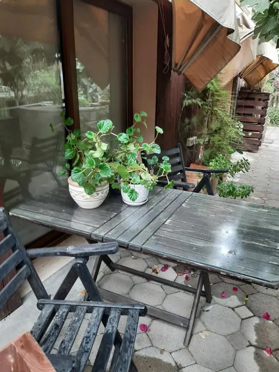 img_id_1874039.webp