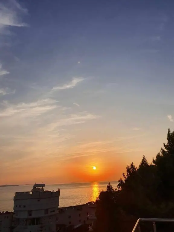 img_id_1875830.webp