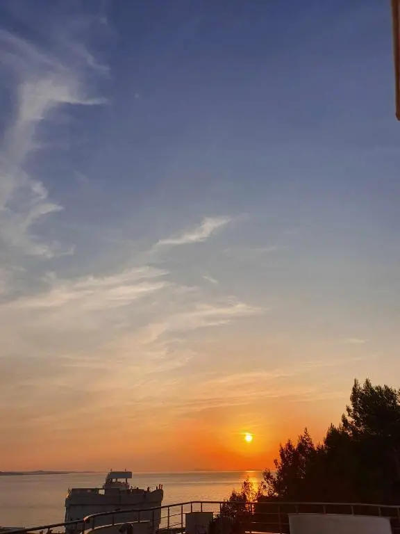 img_id_1875831.webp