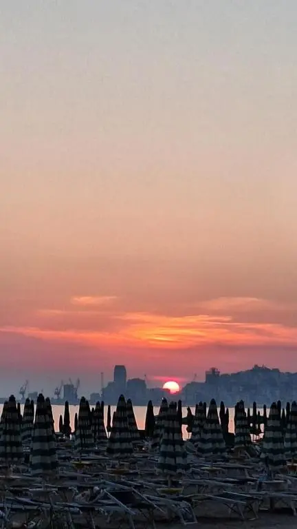 img_id_1877641.webp