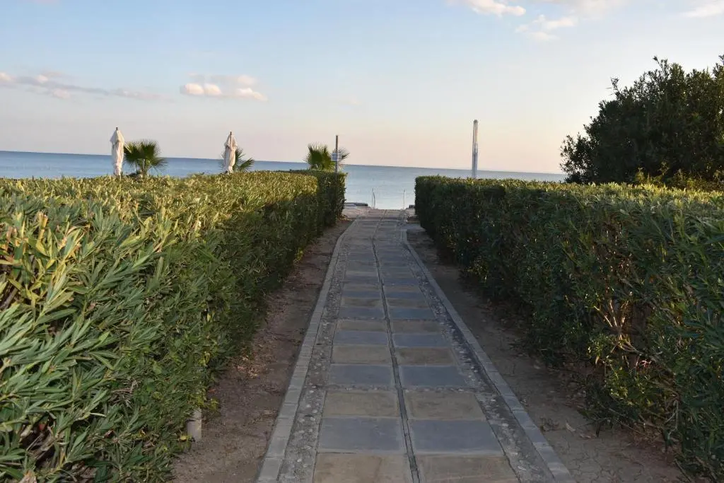 img_id_1889607.webp