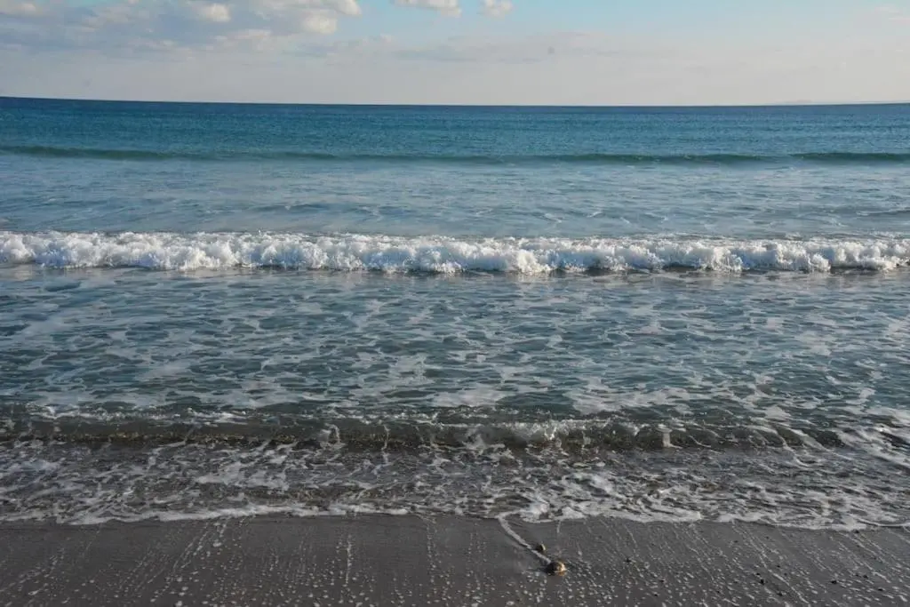 img_id_1889615.webp