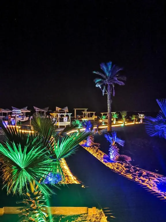 img_id_1890542.webp