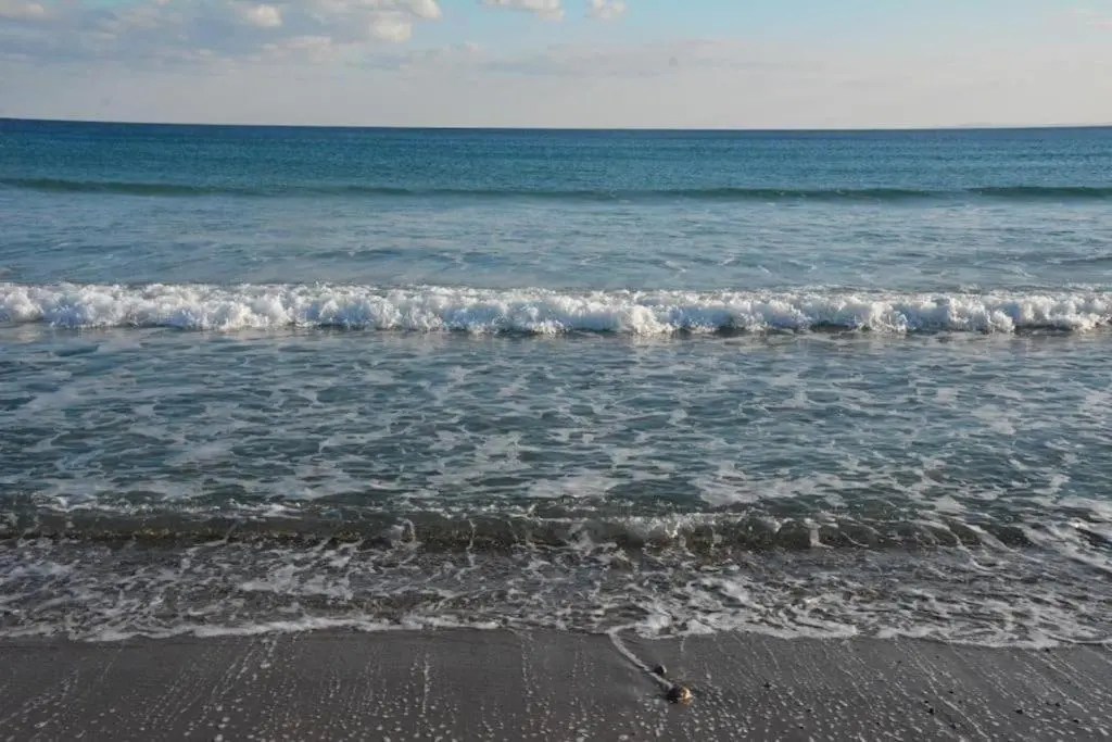 img_id_1890751.webp