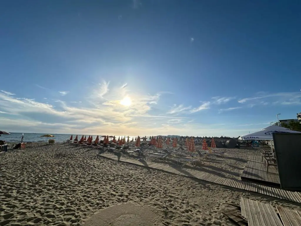 img_id_1895125.webp