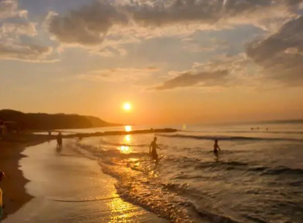 img_id_1905047.webp