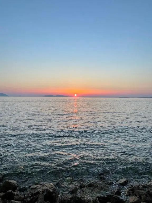 img_id_1919110.webp