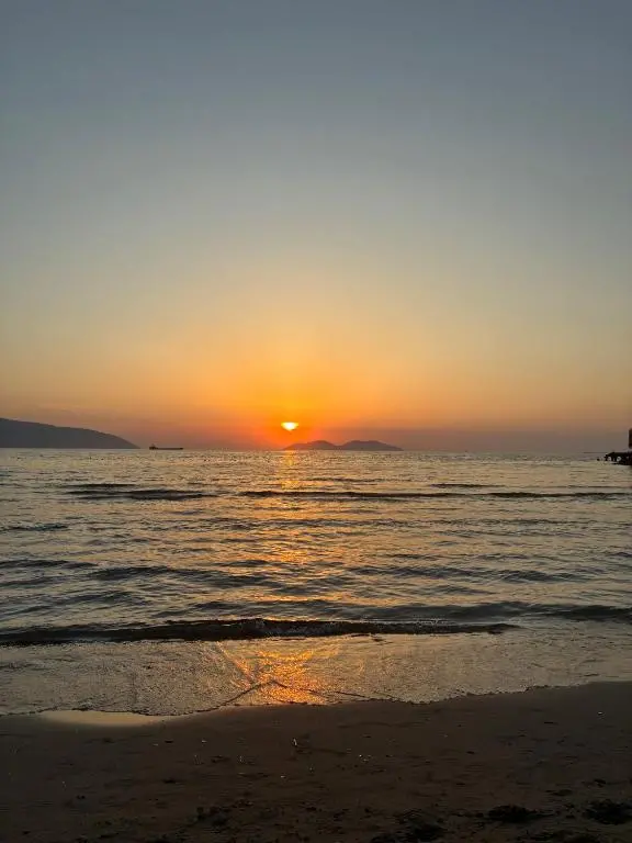 img_id_1919111.webp