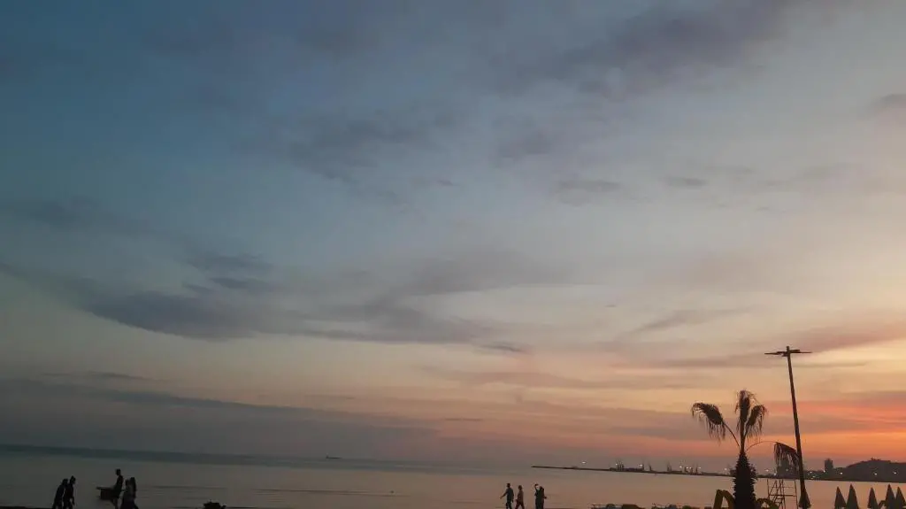 img_id_1919228.webp