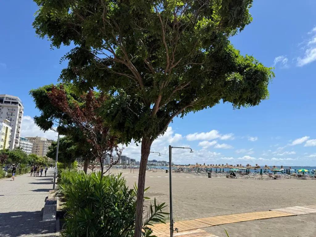 img_id_1921787.webp