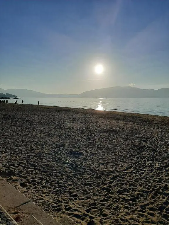 img_id_1930265.webp