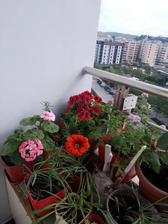 img_id_1966152.webp