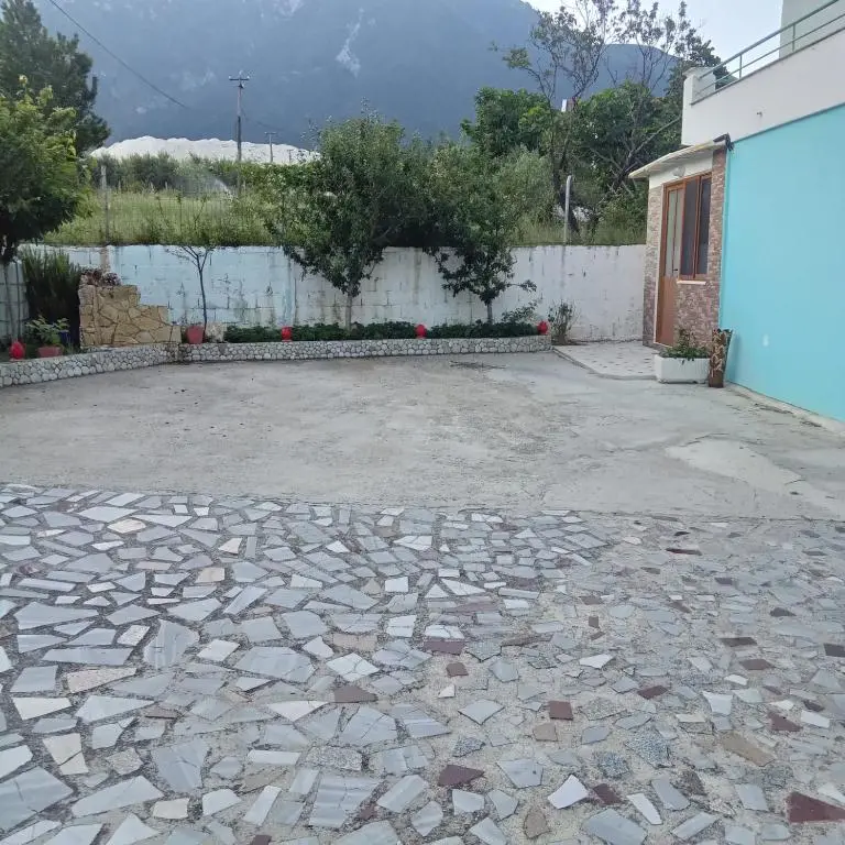 img_id_1968919.webp