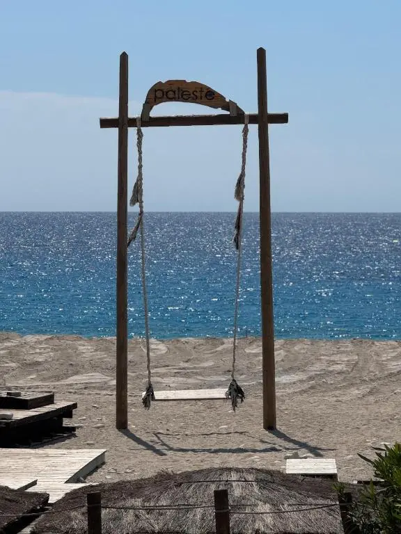 img_id_1977124.webp