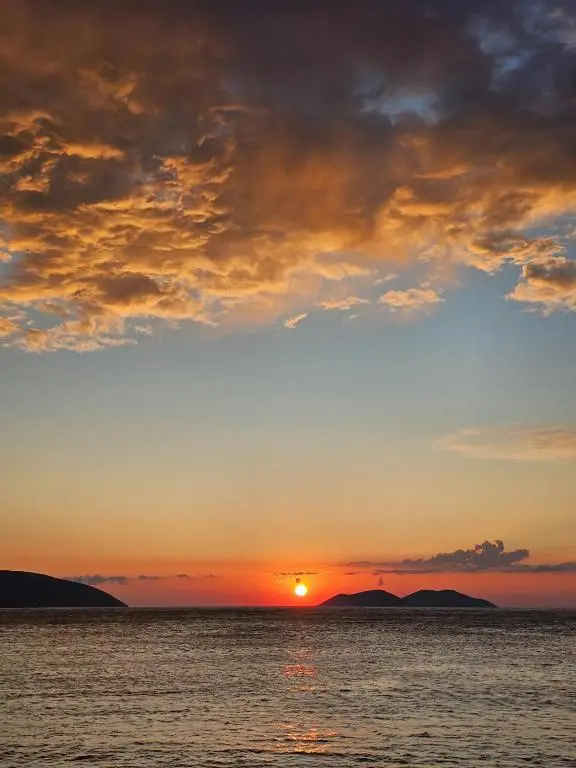 img_id_2001559.webp