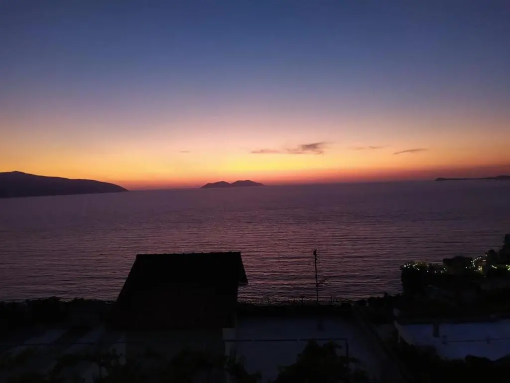 img_id_2017547.webp