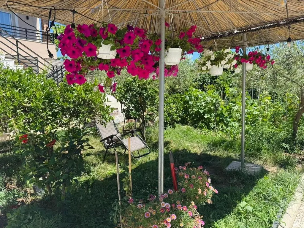 img_id_2019131.webp