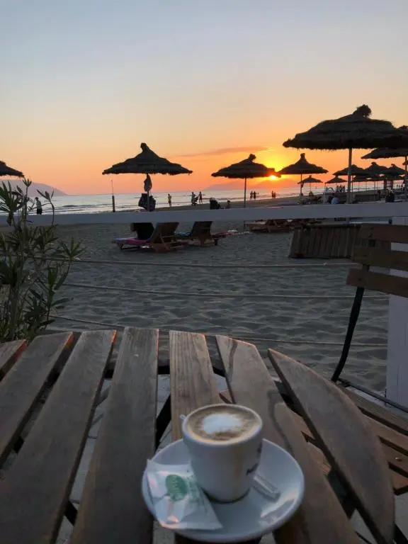 img_id_2019179.webp