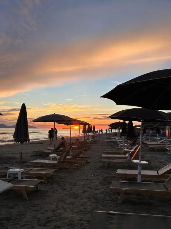 img_id_2019183.webp