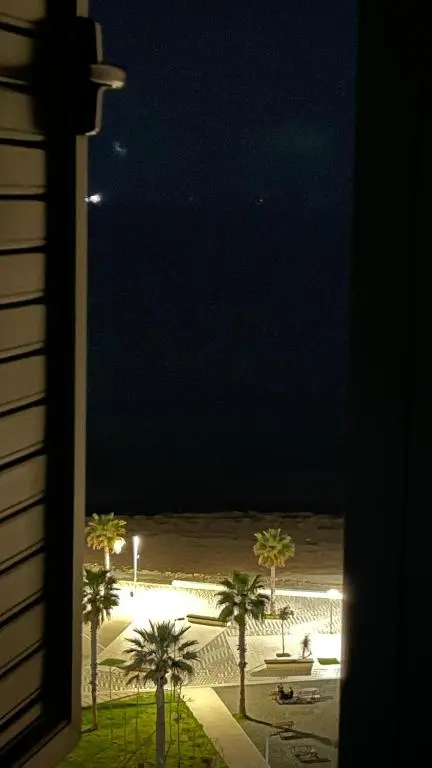 img_id_2025834.webp