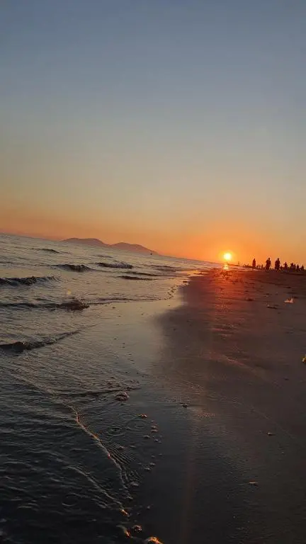 img_id_2037187.webp