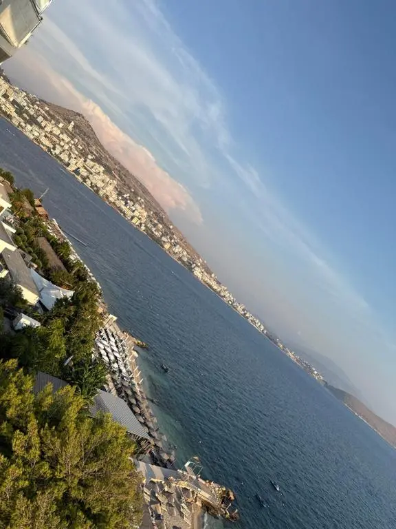 img_id_2038610.webp