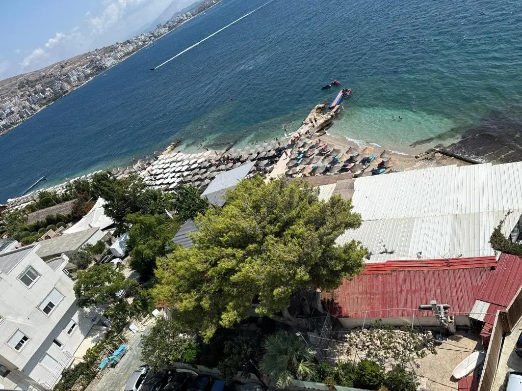 img_id_2038614.webp