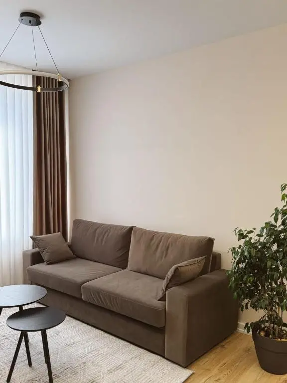 img_id_2051099.webp
