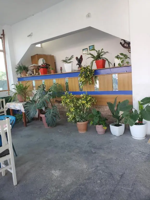 img_id_2052155.webp