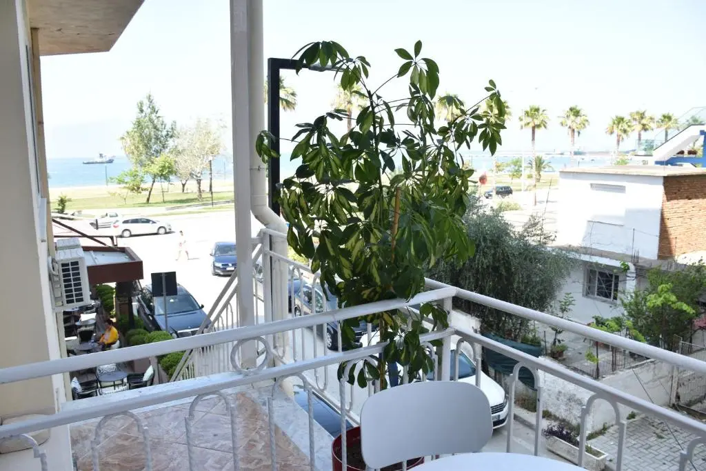 img_id_2052416.webp