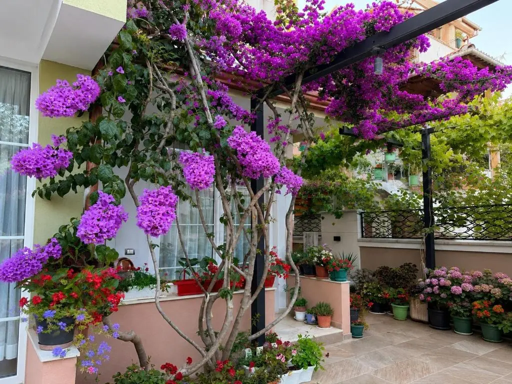 img_id_2064691.webp