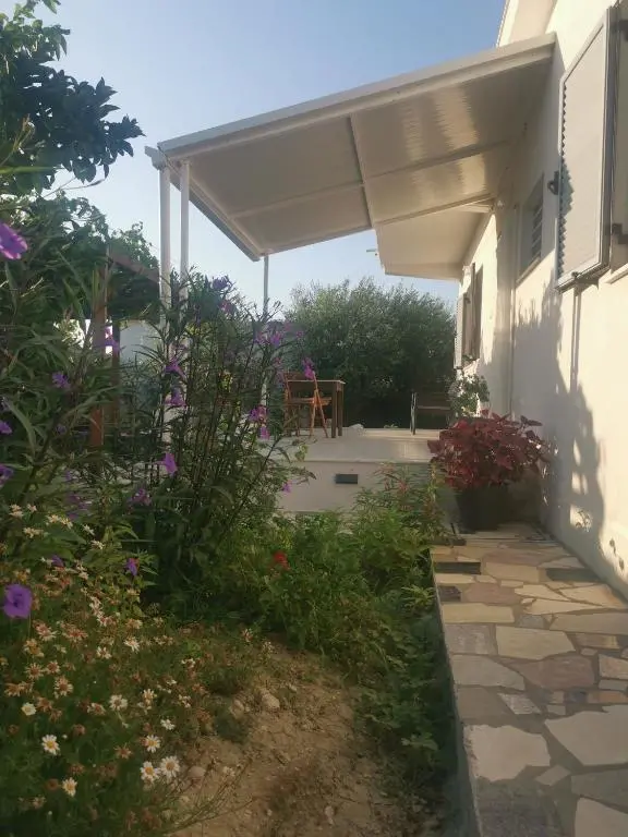 img_id_2067191.webp