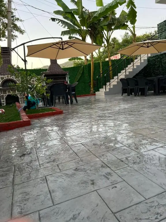img_id_2067795.webp