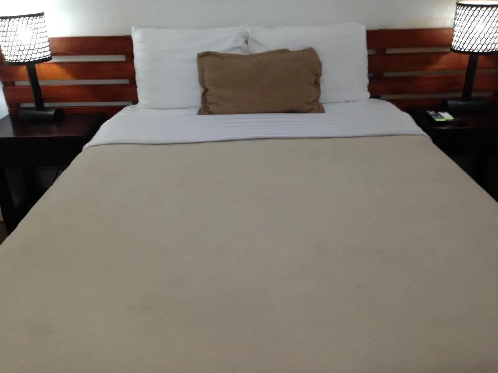 img_id_2072240.webp