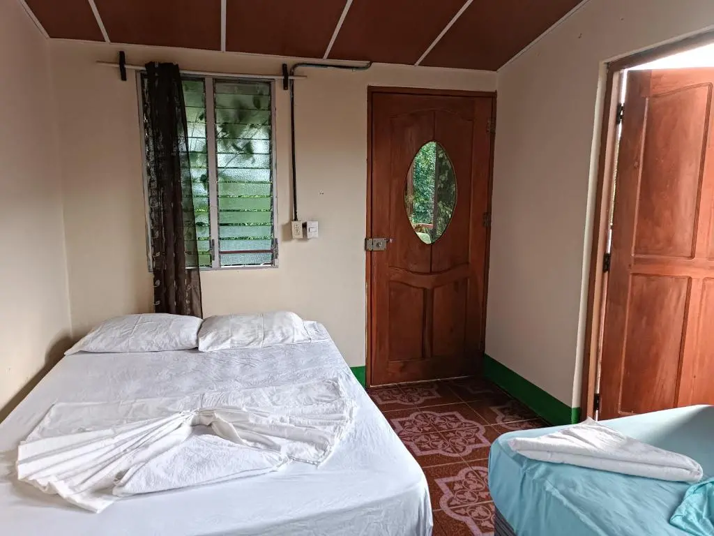 img_id_2081462.webp