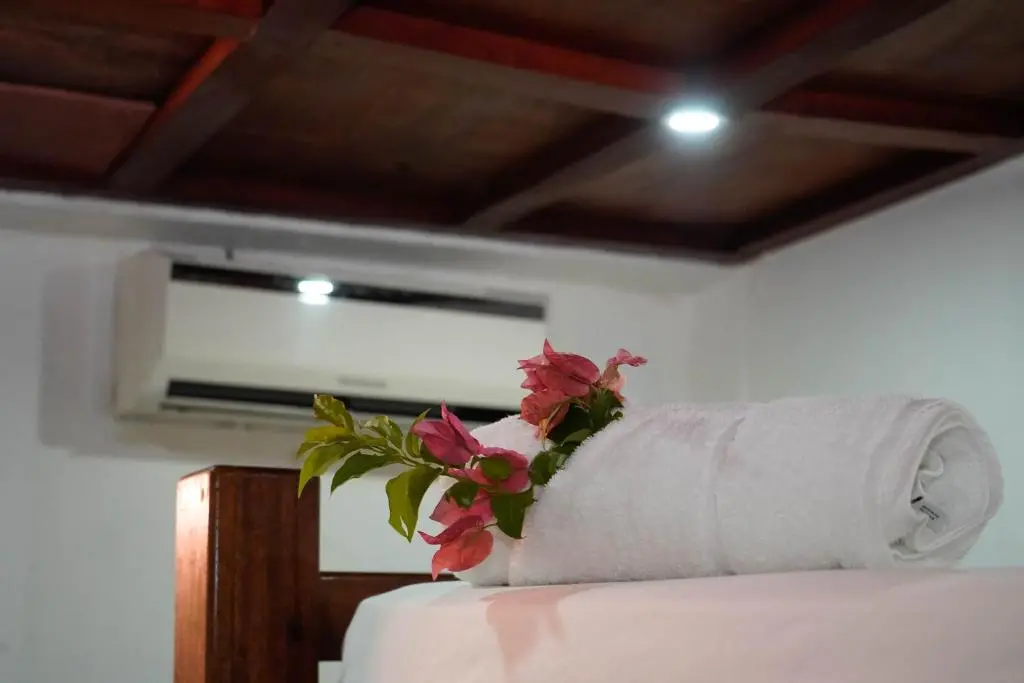 img_id_2084490.webp