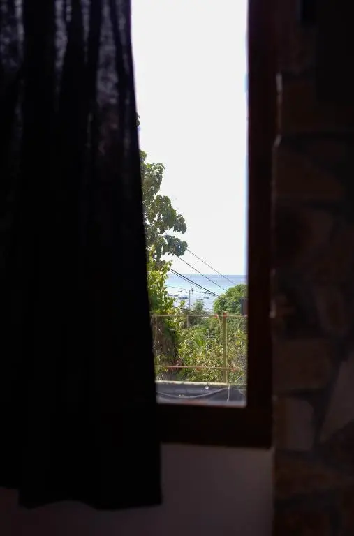 img_id_2084499.webp