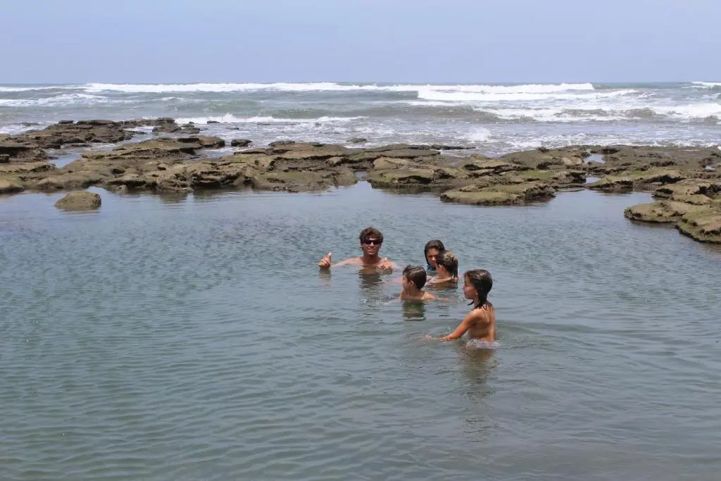 img_id_2089016.webp