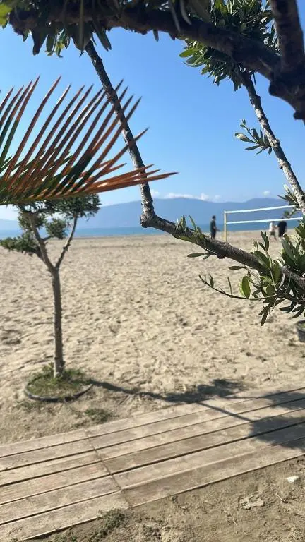 img_id_2093609.webp