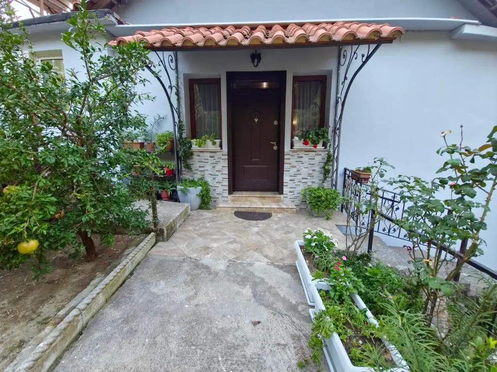 img_id_2095340.webp