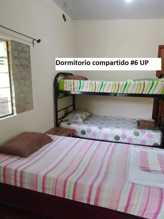 img_id_2100655.webp