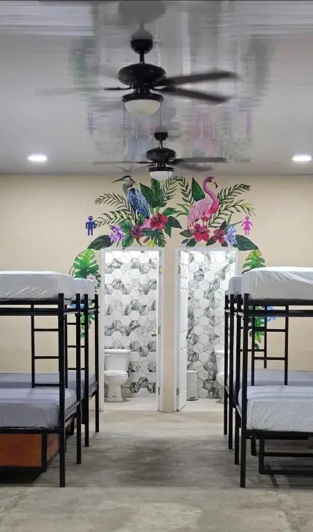 img_id_2118636.webp