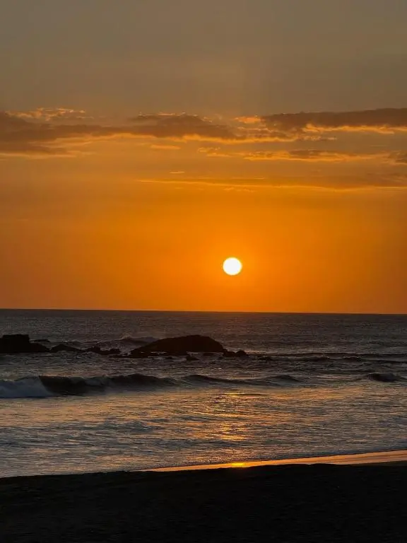 img_id_2119957.webp