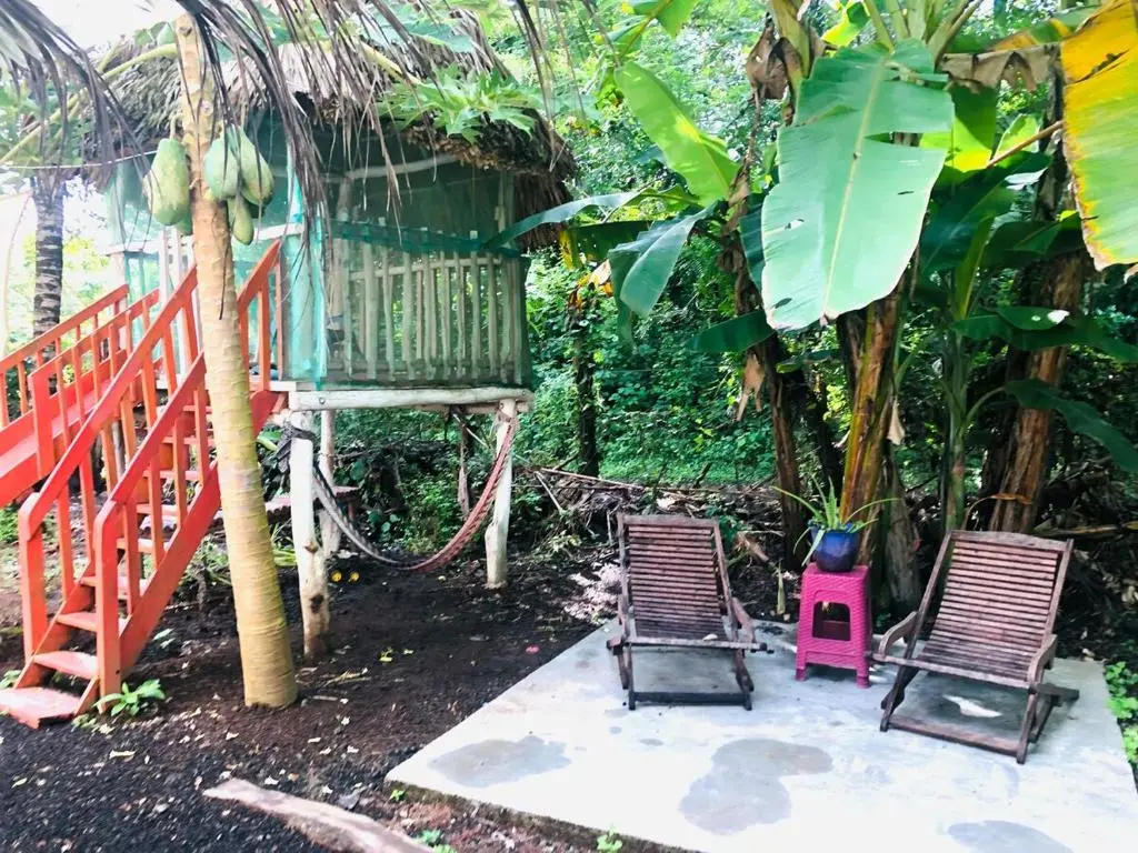 img_id_2122614.webp