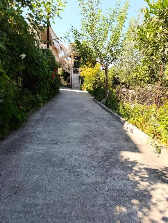 img_id_2130178.webp